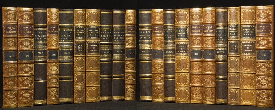 Buchrücken Leder Dekor-Paneele Buch Optik