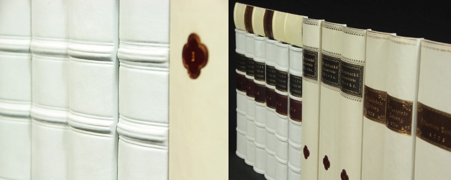 Buchrücken Leder Dekor-Paneele Buch Optik